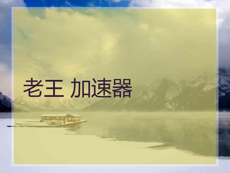 老王 加速器