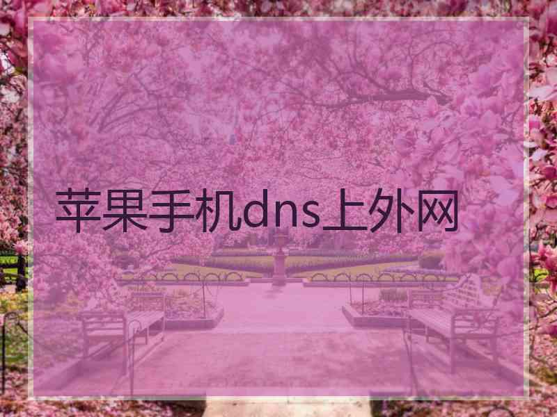 苹果手机dns上外网