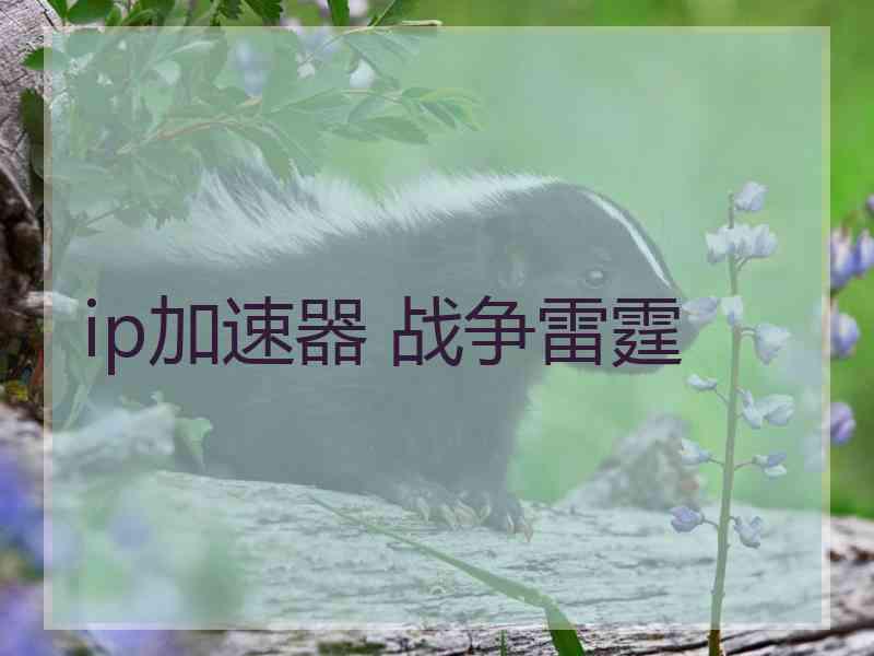 ip加速器 战争雷霆