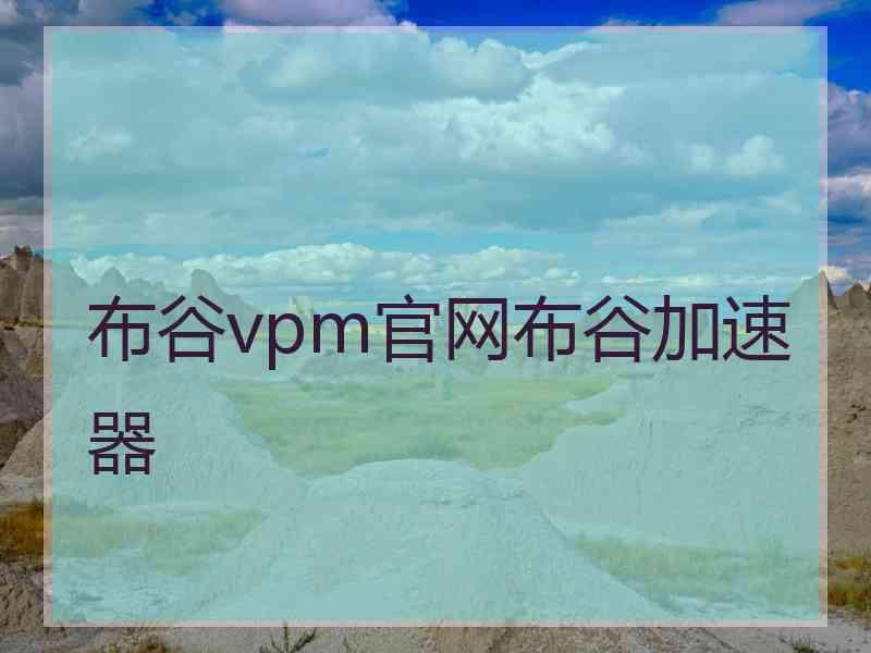 布谷vpm官网布谷加速器