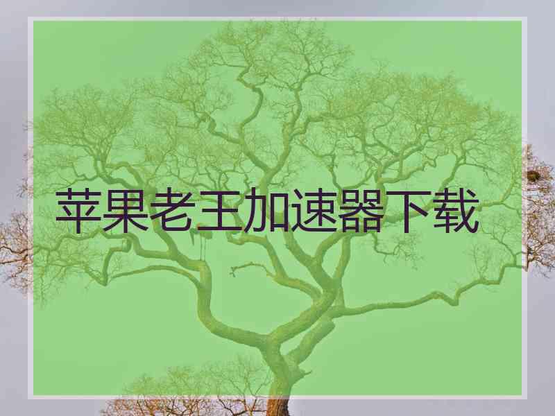 苹果老王加速器下载