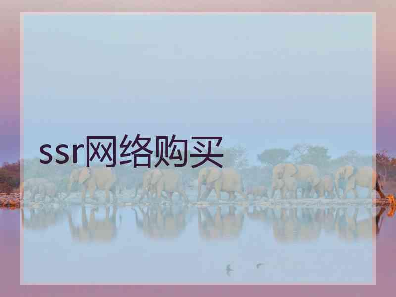 ssr网络购买