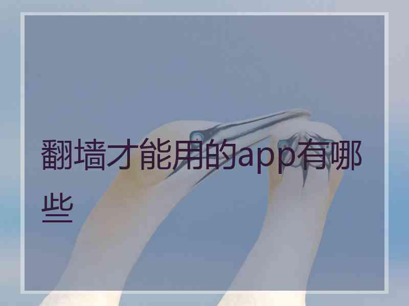翻墙才能用的app有哪些