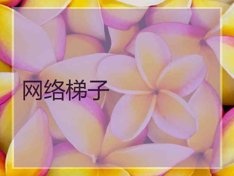 网络梯子