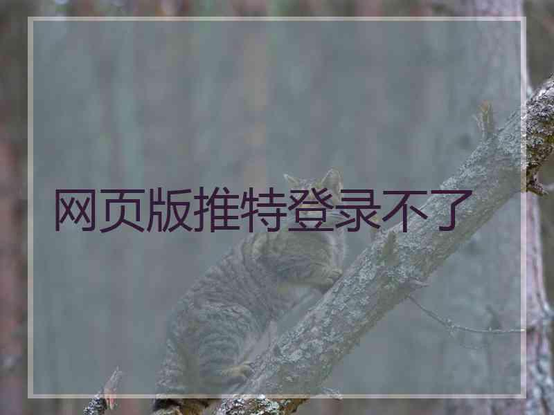 网页版推特登录不了