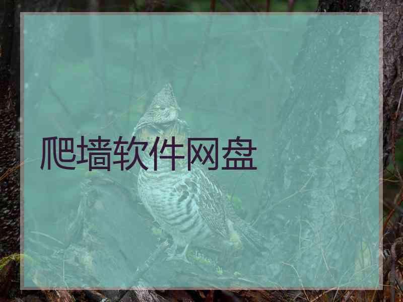 爬墙软件网盘