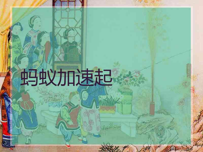 蚂蚁加速起