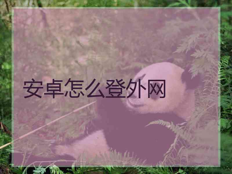 安卓怎么登外网