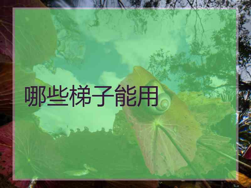 哪些梯子能用