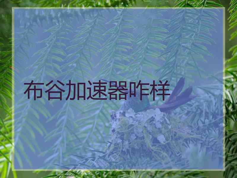 布谷加速器咋样