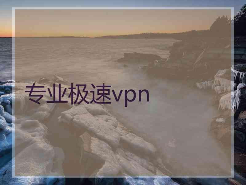 专业极速vpn