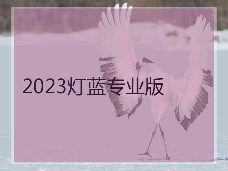 2023灯蓝专业版