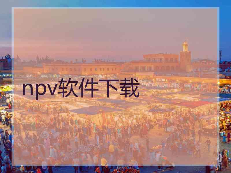 npv软件下载