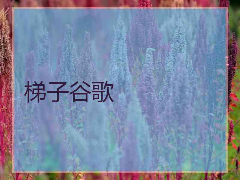 梯子谷歌