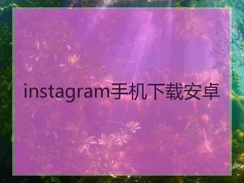 instagram手机下载安卓