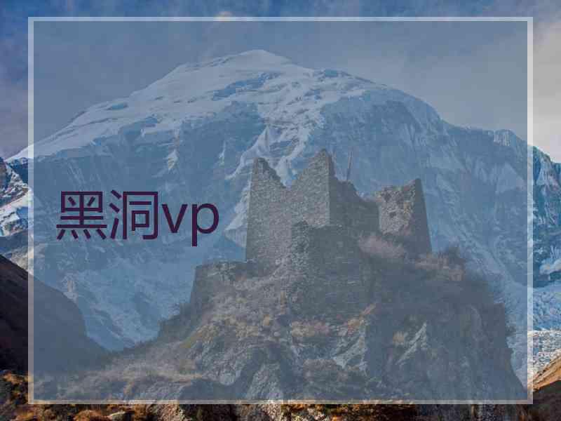黑洞vp