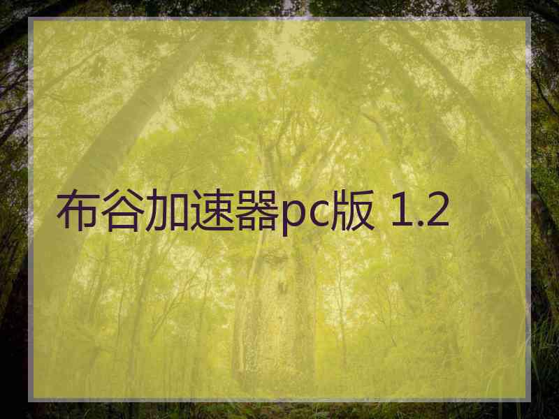 布谷加速器pc版 1.2