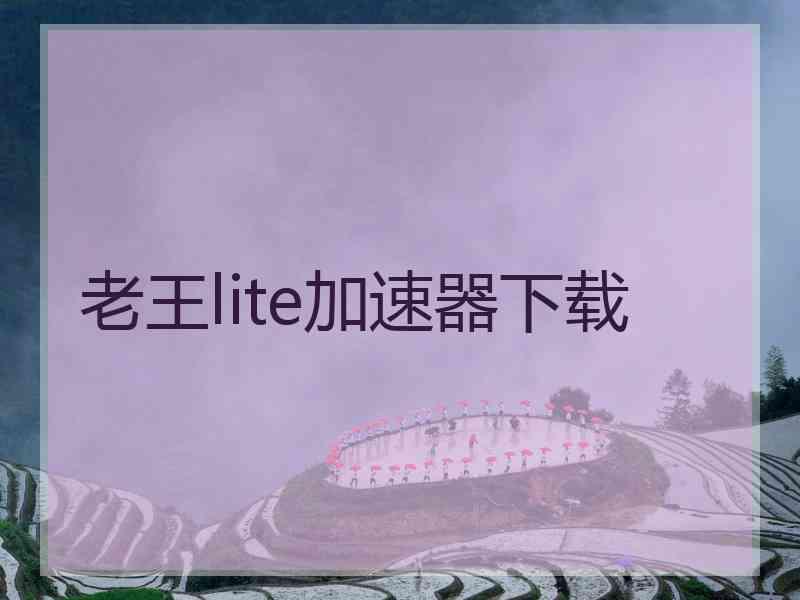 老王lite加速器下载
