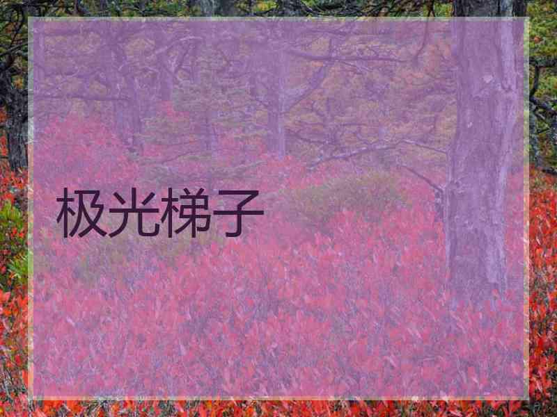 极光梯子