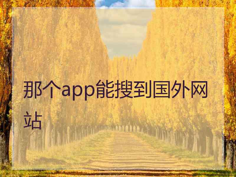 那个app能搜到国外网站
