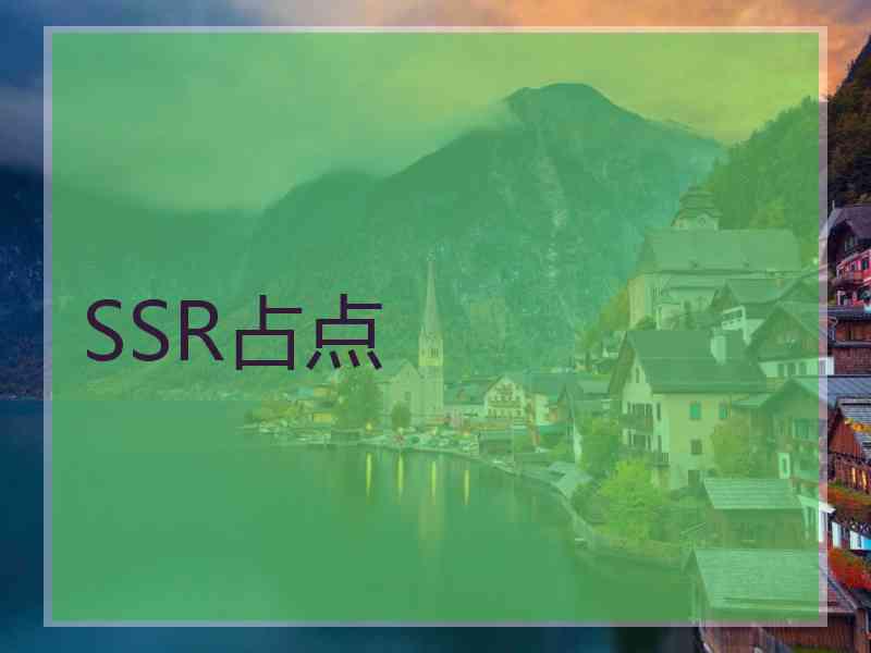 SSR占点