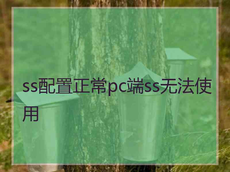 ss配置正常pc端ss无法使用