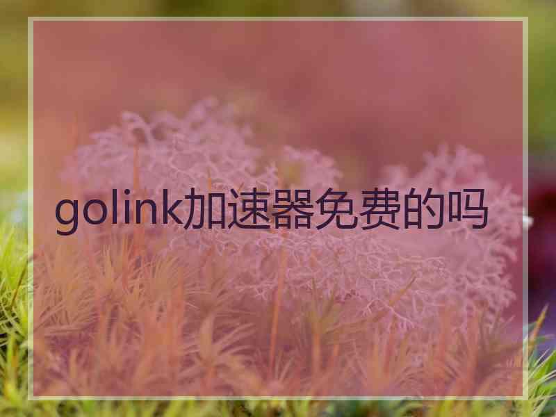 golink加速器免费的吗