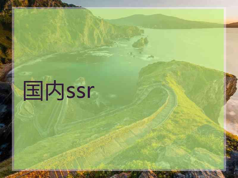 国内ssr