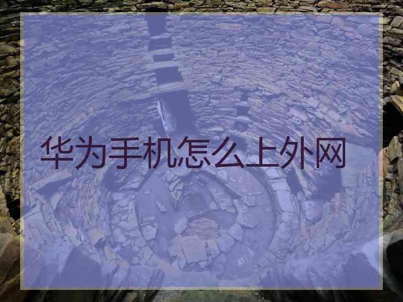 华为手机怎么上外网