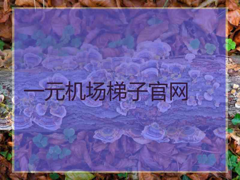 一元机场梯子官网