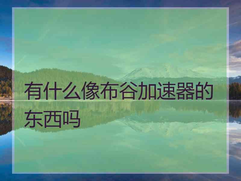 有什么像布谷加速器的东西吗