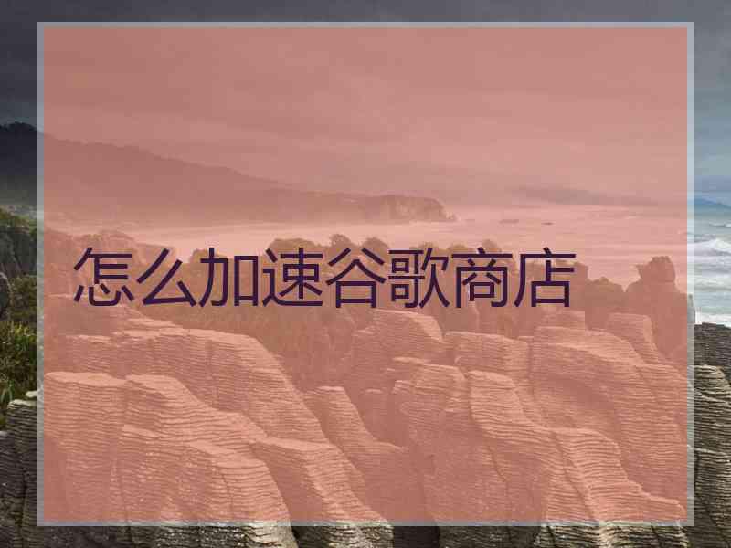 怎么加速谷歌商店