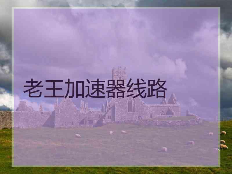 老王加速器线路