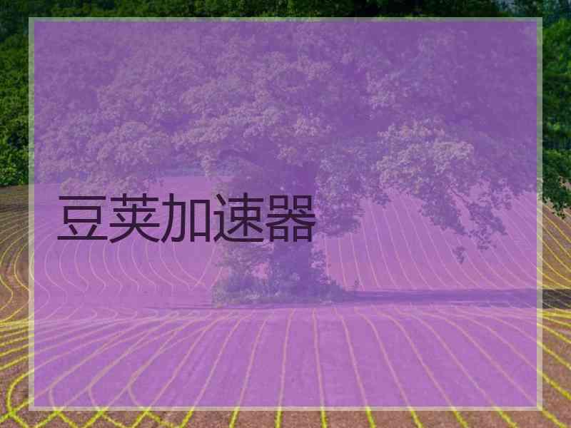 豆荚加速器