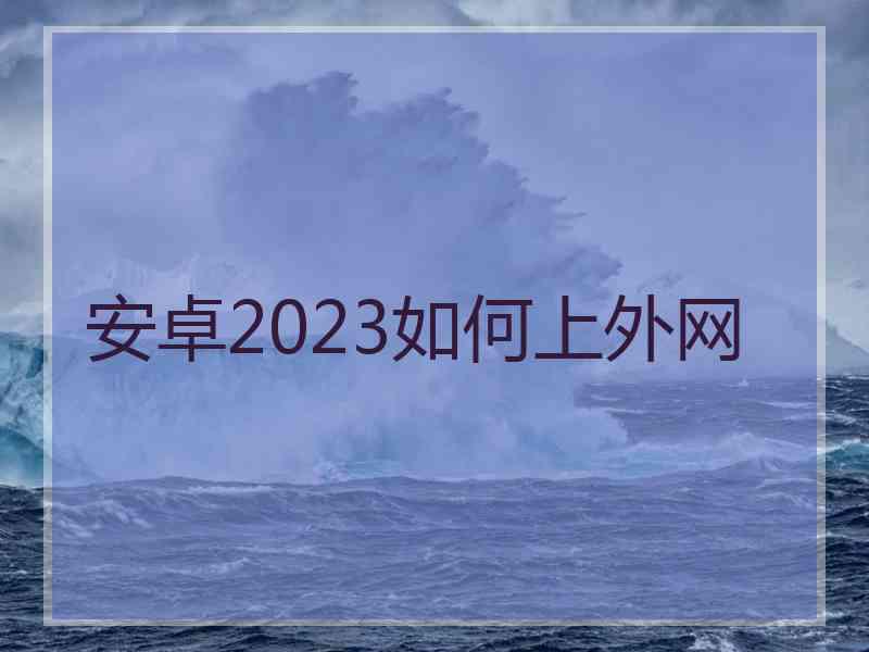 安卓2023如何上外网