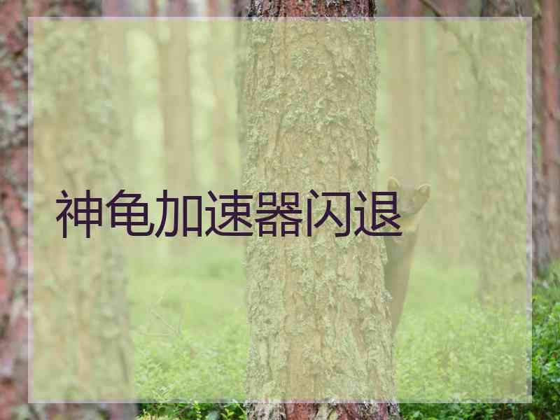 神龟加速器闪退