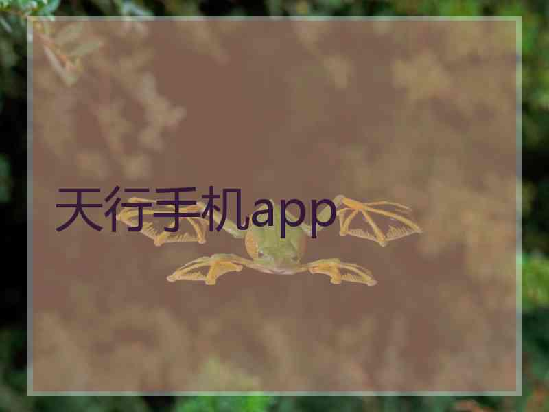 天行手机app