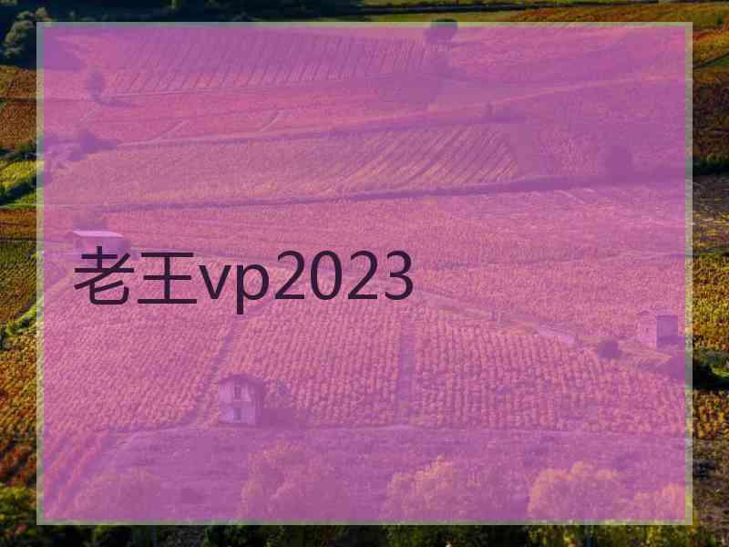 老王vp2023