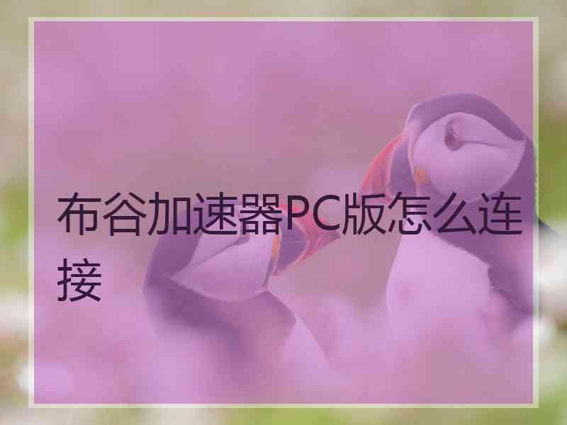 布谷加速器PC版怎么连接