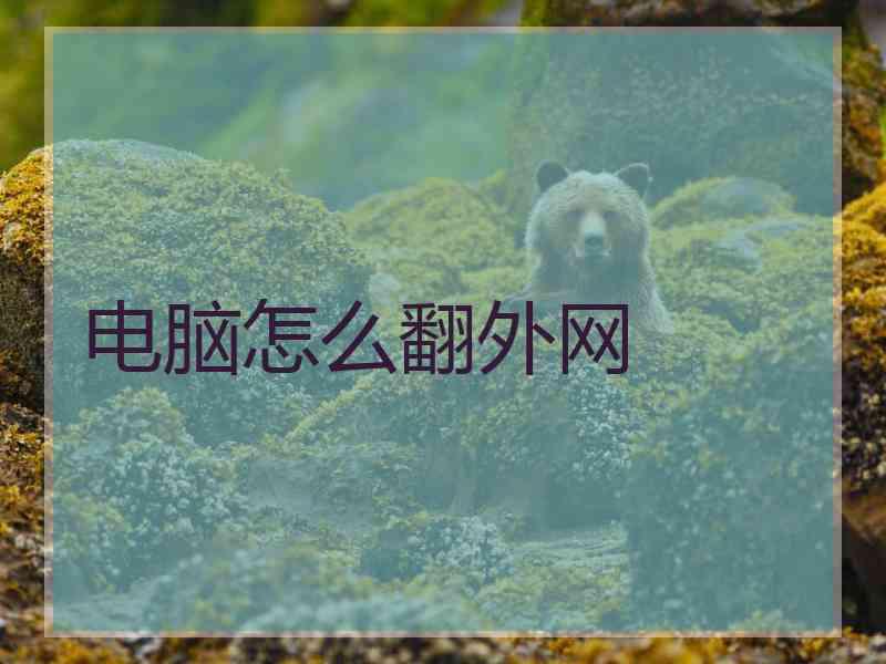 电脑怎么翻外网