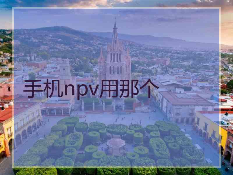 手机npv用那个