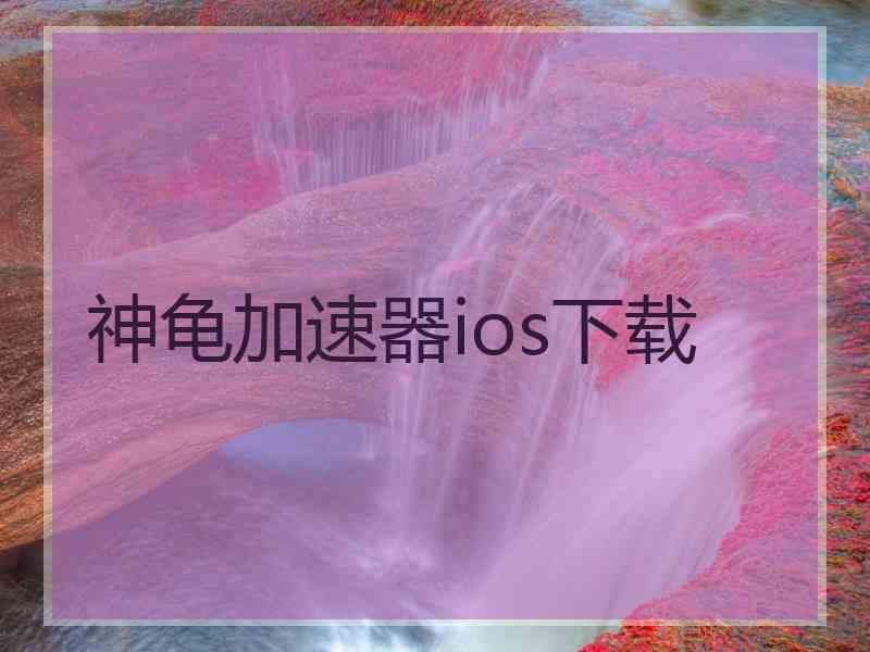 神龟加速器ios下载