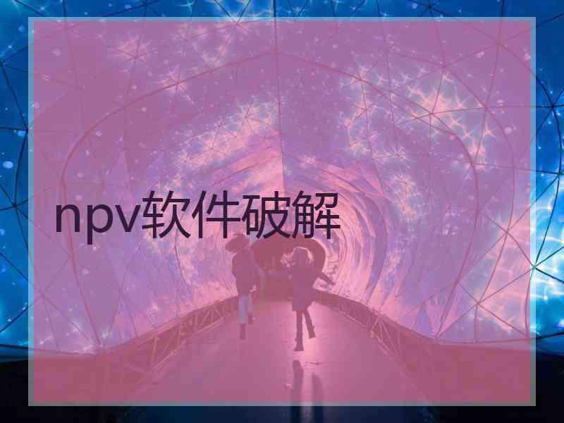npv软件破解