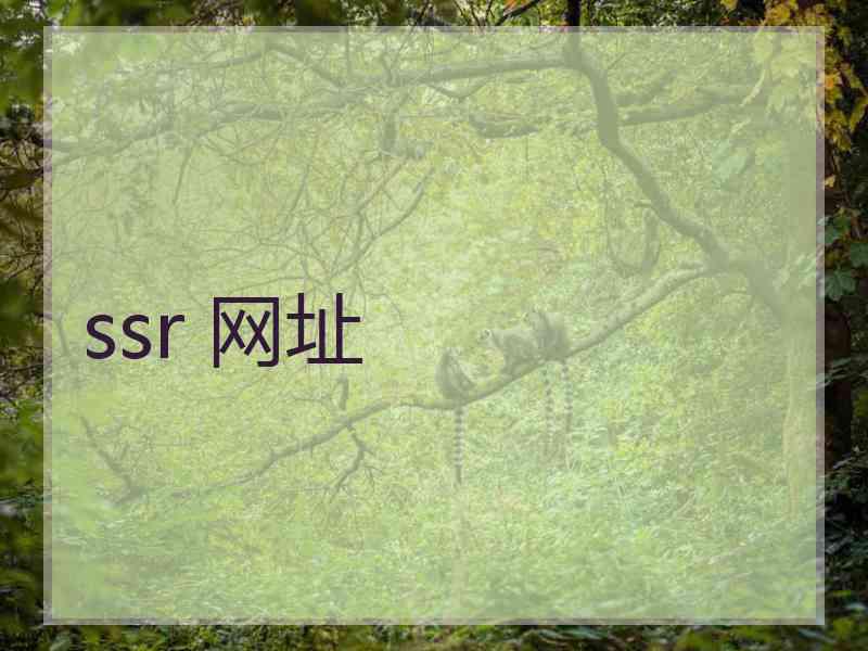 ssr 网址