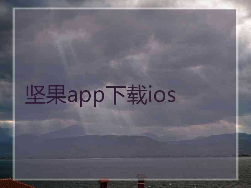 坚果app下载ios