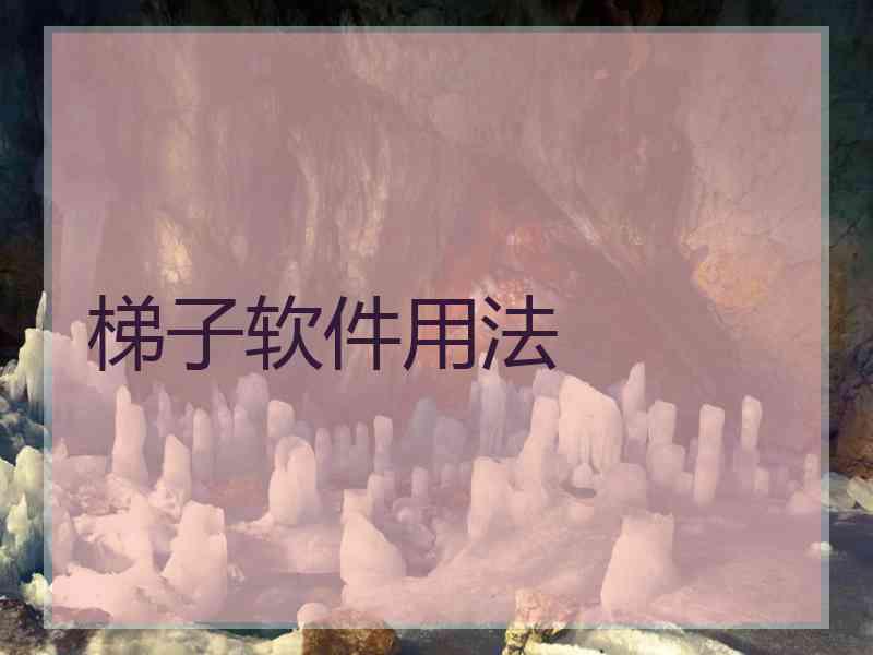 梯子软件用法