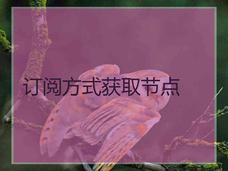 订阅方式获取节点
