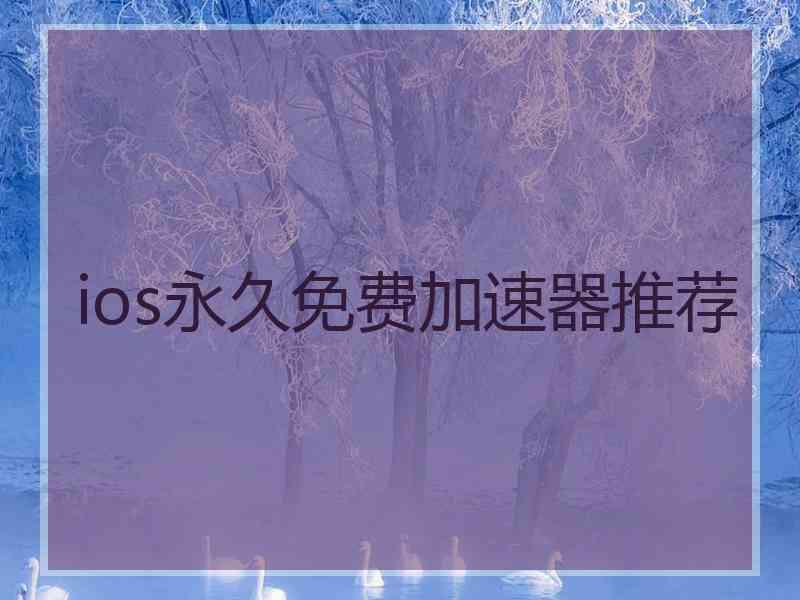 ios永久免费加速器推荐