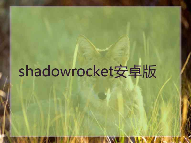 shadowrocket安卓版