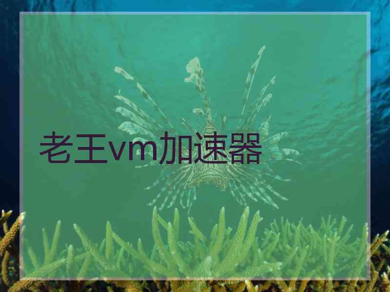 老王vm加速器